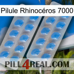 Pilule Rhinocéros 7000 23